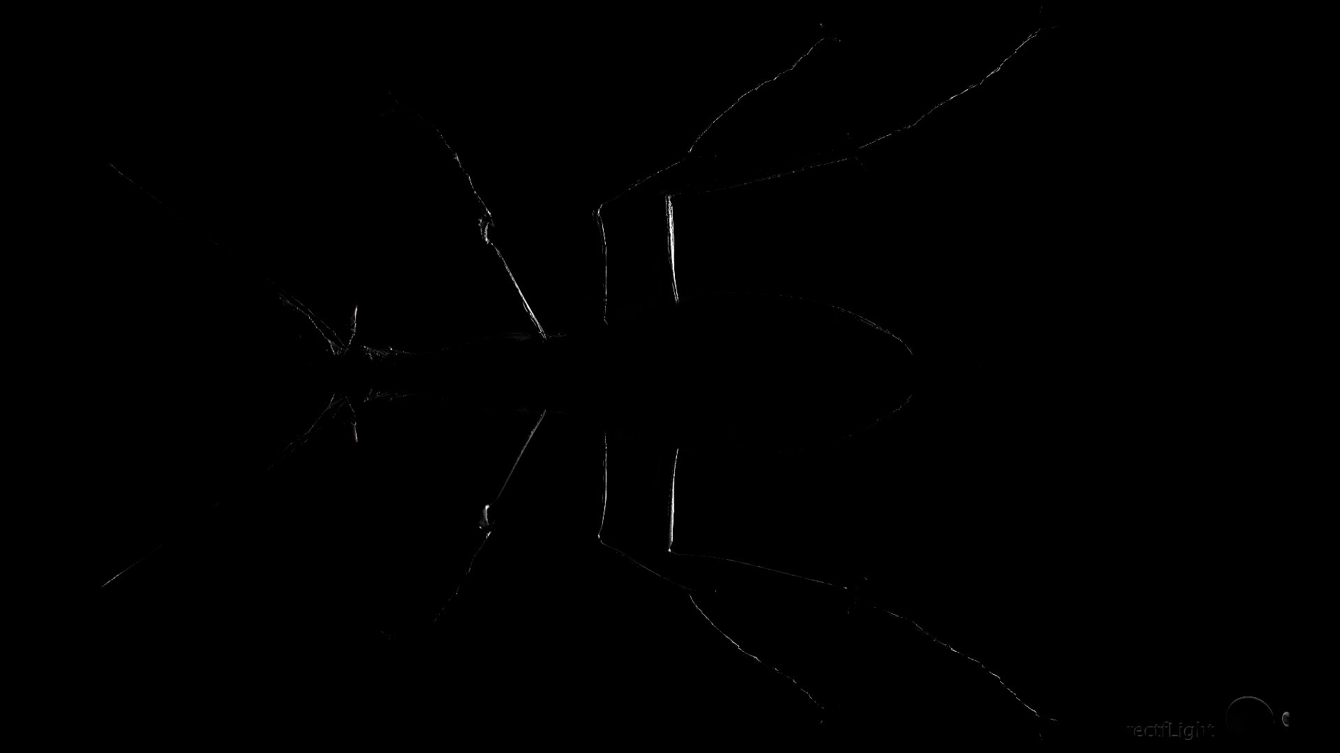 3D Ground Beetle https://p.turbosquid.com/ts-thumb/Aa/tJxmYV/41/025/jpg/1747303518/1920x1080/fit_q87/13f529a8736730ce8e97eebf1ed5e61ef5a273d7/025.jpg