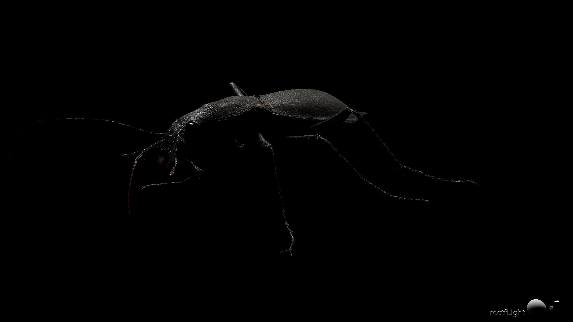3D Ground Beetle https://p.turbosquid.com/ts-thumb/Aa/tJxmYV/5Z/021/jpg/1747303515/1920x1080/fit_q87/7dfea6927f8a7e7609bb4f47deaaa13a55ac874b/021.jpg