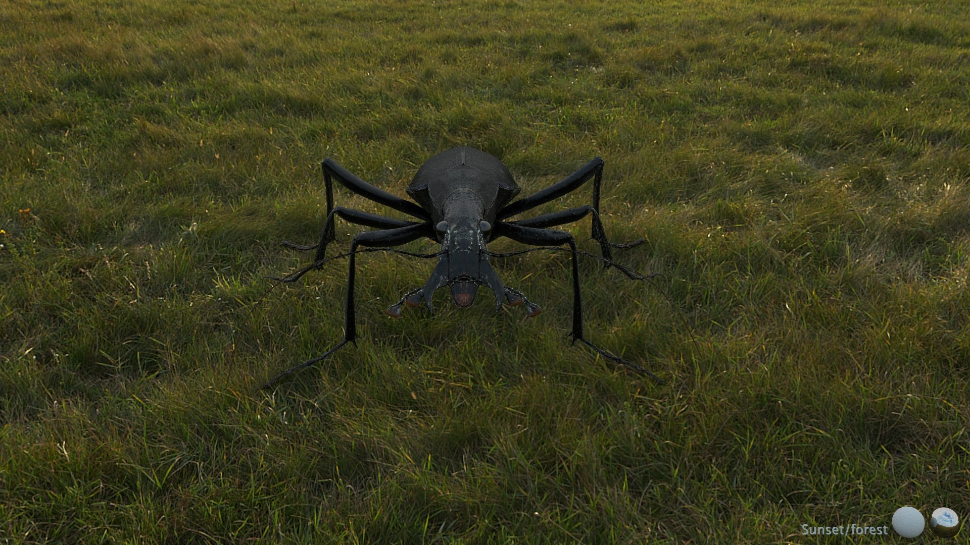 3D Ground Beetle https://p.turbosquid.com/ts-thumb/Aa/tJxmYV/Cj/004/jpg/1747303507/1920x1080/fit_q87/75149de61d5a5671187989935f07d925a2b33f1f/004.jpg