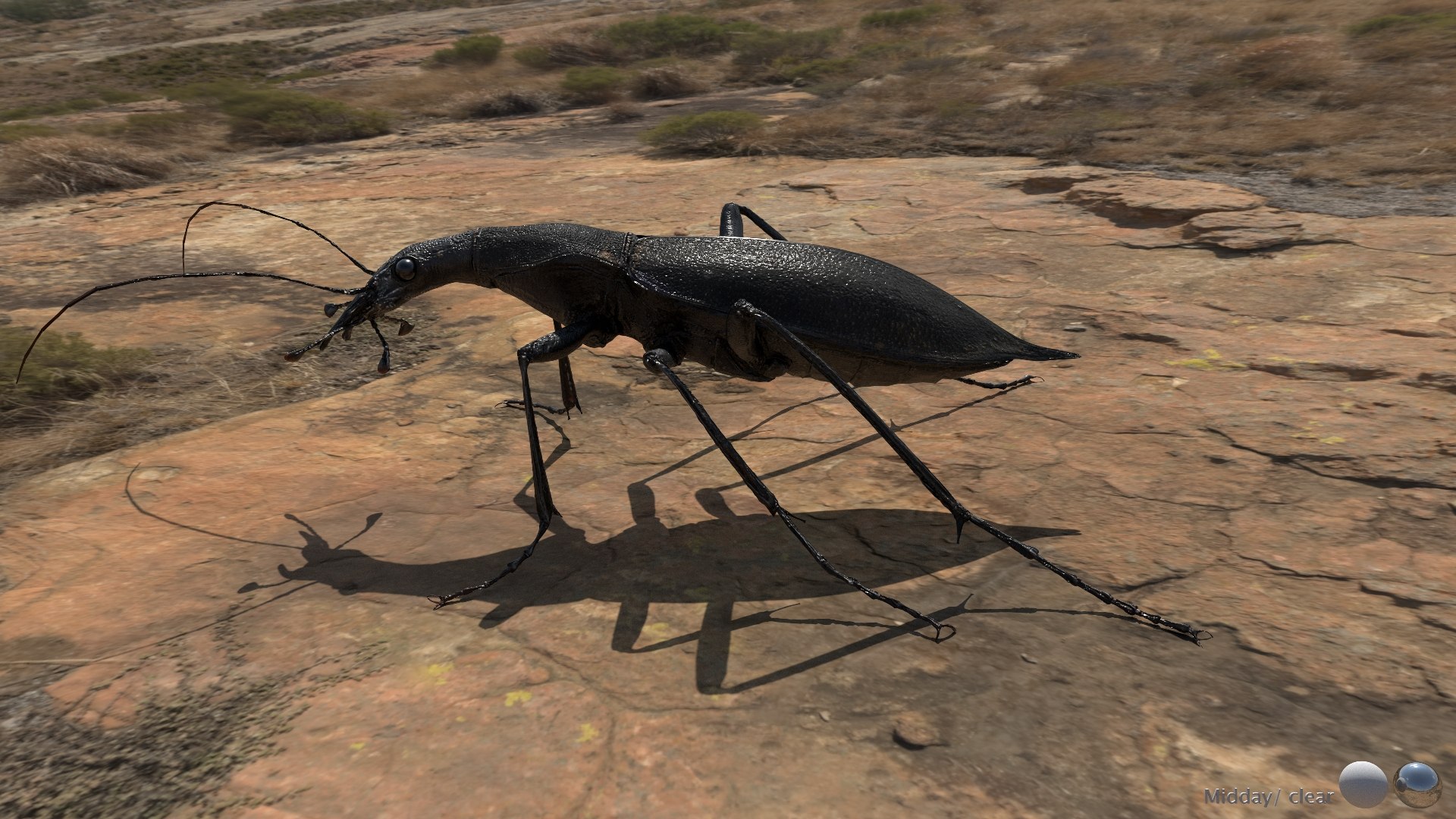 3D Ground Beetle https://p.turbosquid.com/ts-thumb/Aa/tJxmYV/Gj/014/jpg/1747303512/1920x1080/fit_q87/eae075251424f63cb3e25c1a4adf23c18d370eb7/014.jpg