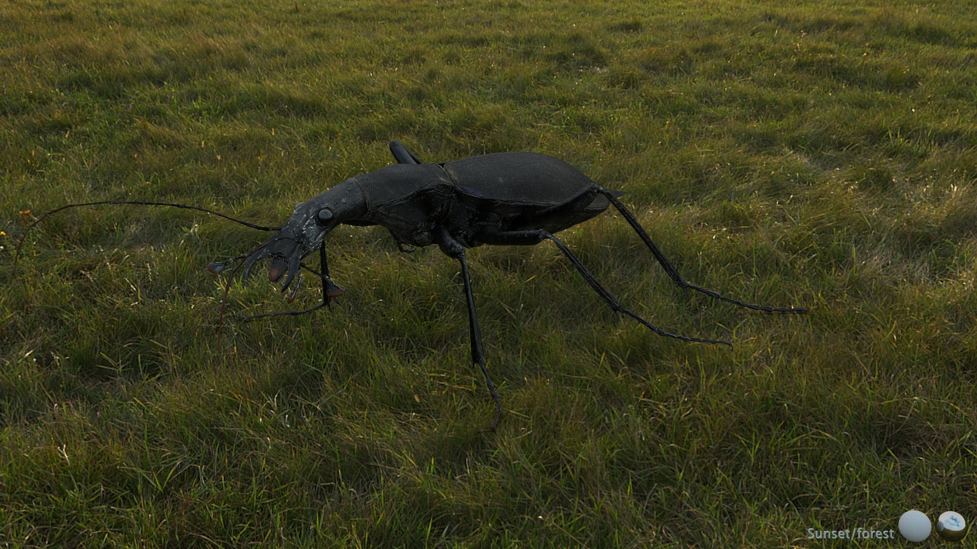 3D Ground Beetle https://p.turbosquid.com/ts-thumb/Aa/tJxmYV/LR/003/jpg/1747303506/1920x1080/fit_q87/a6949b0fc8c7ce73422483cab9efc9f74b70975d/003.jpg