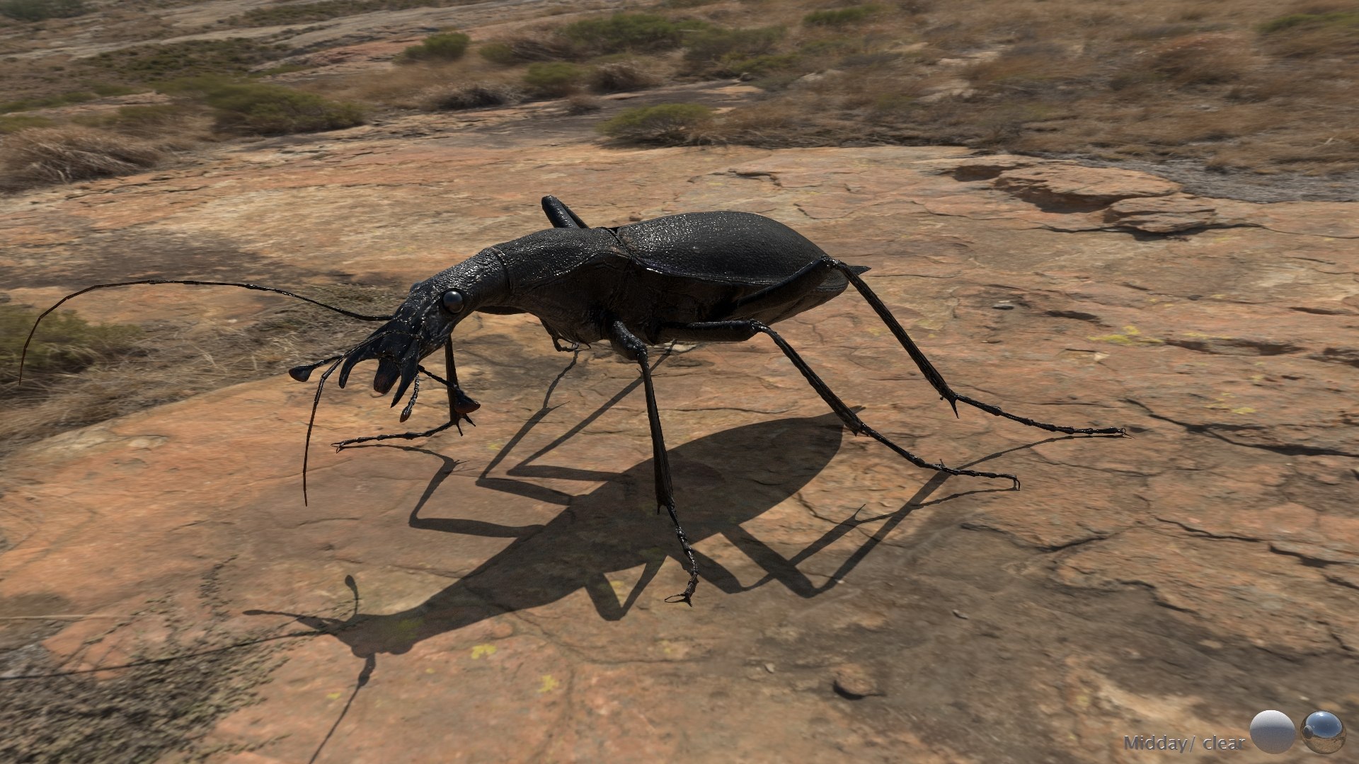 3D Ground Beetle https://p.turbosquid.com/ts-thumb/Aa/tJxmYV/UV/015/jpg/1747303513/1920x1080/fit_q87/66d0fa3db979ffde92e6cf1462a9a28d75391cbd/015.jpg