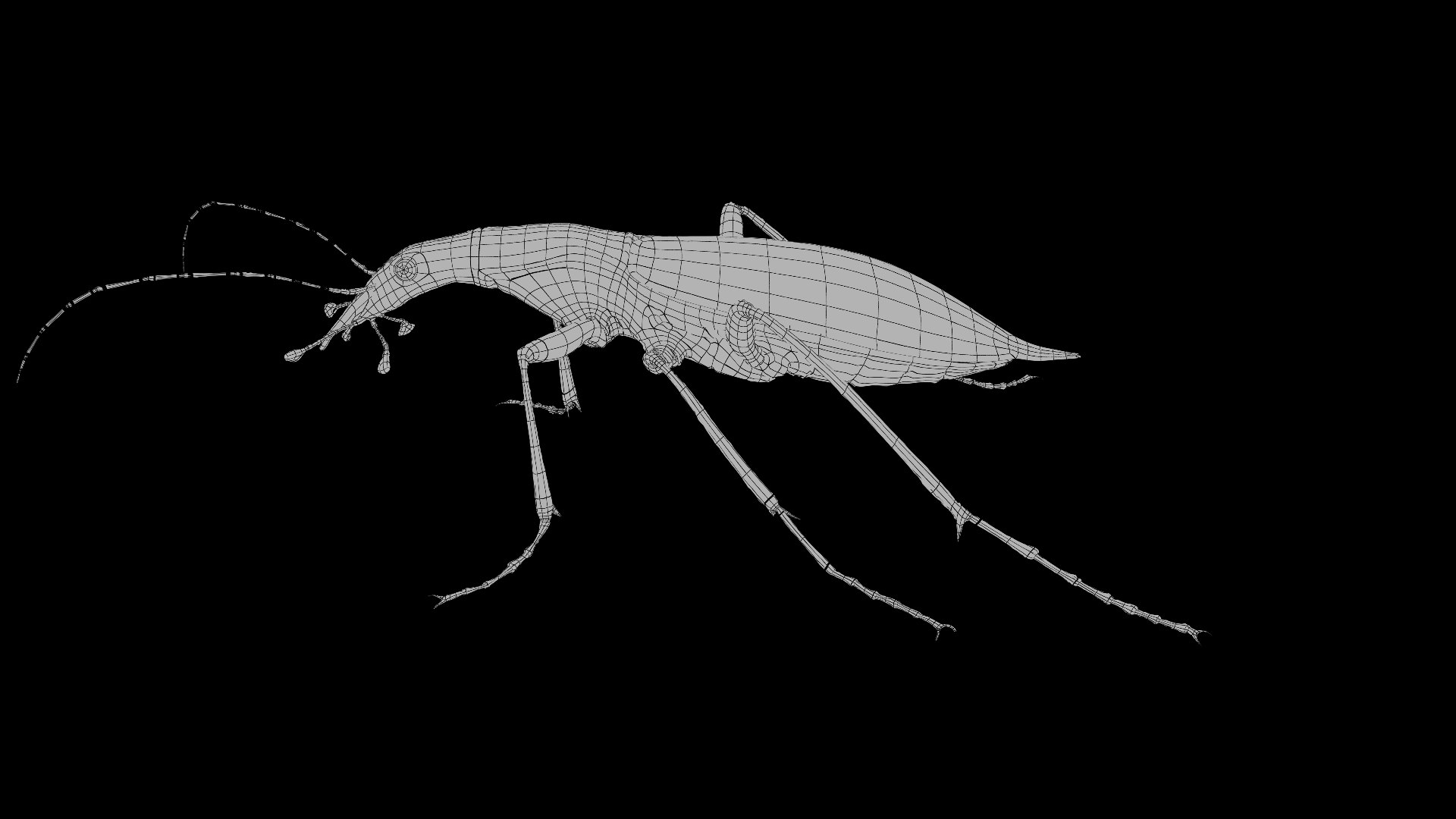 3D Ground Beetle https://p.turbosquid.com/ts-thumb/Aa/tJxmYV/b0/027/jpg/1747303519/1920x1080/fit_q87/9f21f4dcdcfe425ba2afd6c584f6c103789f6e29/027.jpg