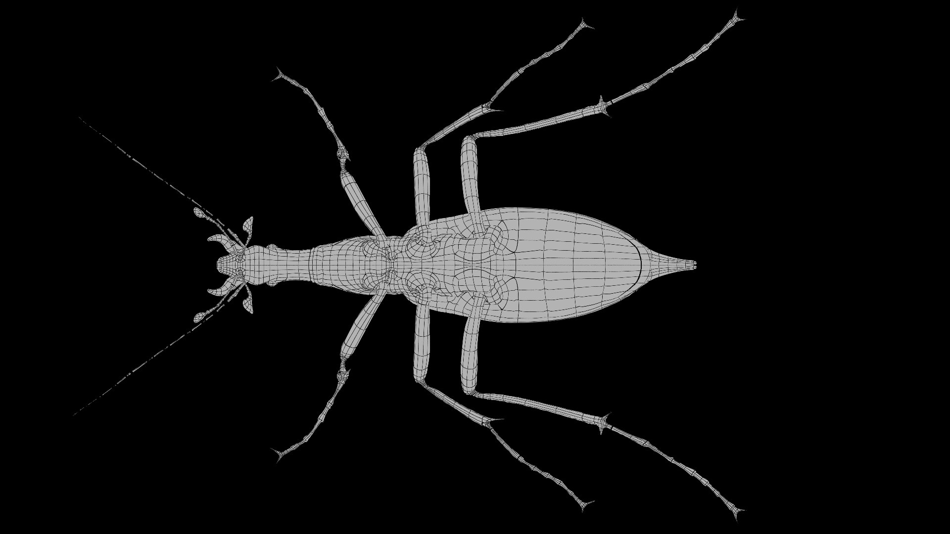 3D Ground Beetle https://p.turbosquid.com/ts-thumb/Aa/tJxmYV/c2/029/jpg/1747303520/1920x1080/fit_q87/41a265e250e9eb57ee6501d3c85af0af9cc82060/029.jpg