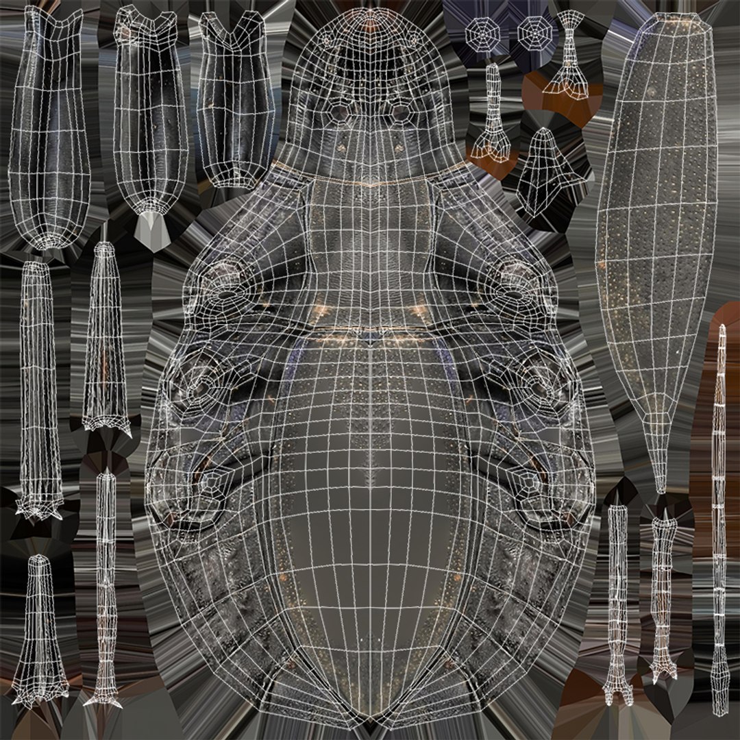 3D Ground Beetle https://p.turbosquid.com/ts-thumb/Aa/tJxmYV/iS/030/jpg/1747303520/1920x1080/fit_q87/638ac3c1799b9e3295998c85101646e569854fbc/030.jpg