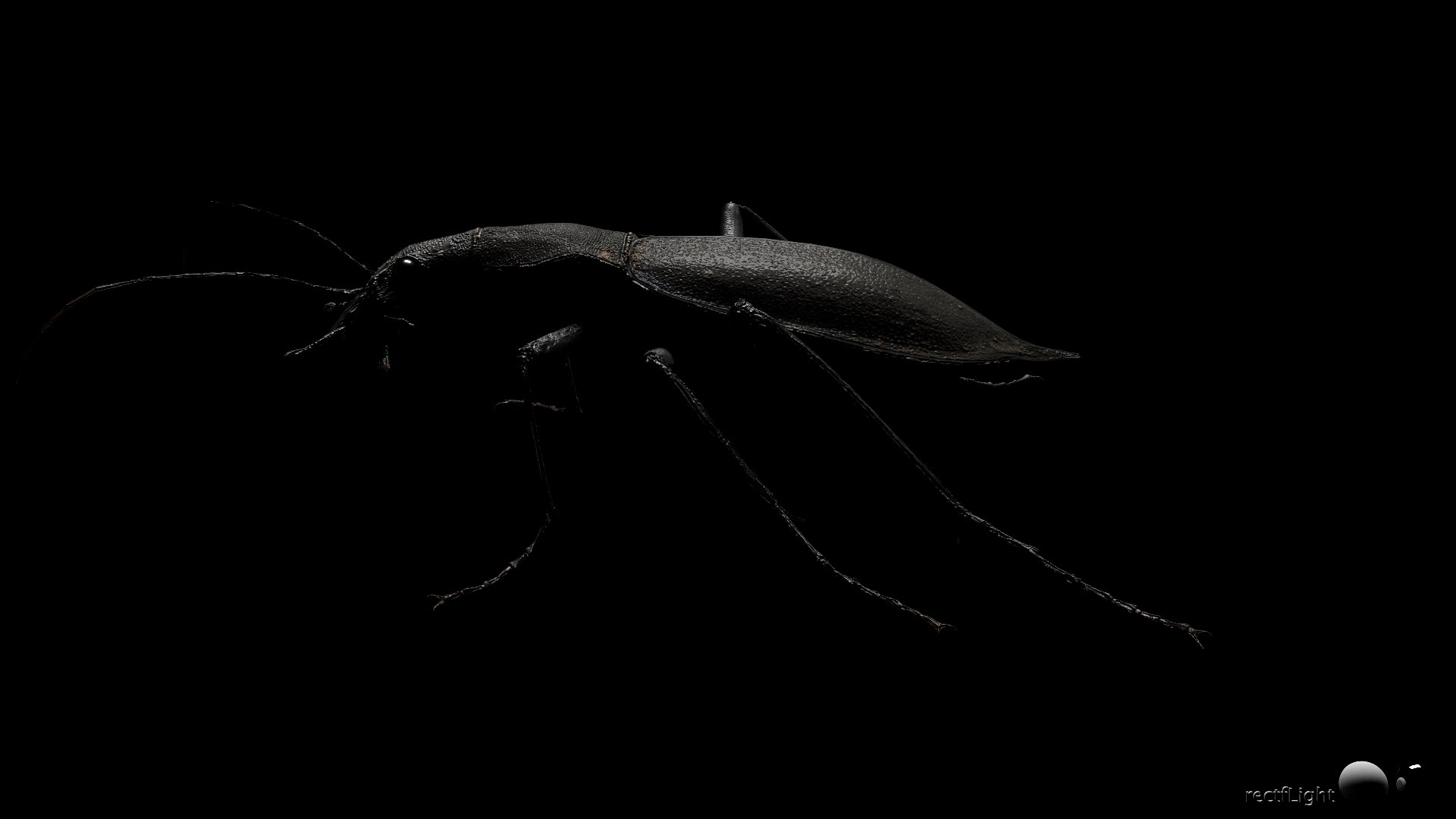 3D Ground Beetle https://p.turbosquid.com/ts-thumb/Aa/tJxmYV/j6/020/jpg/1747303515/1920x1080/fit_q87/b192d4d8b22e205217cdb88db4e9841ed48809c7/020.jpg