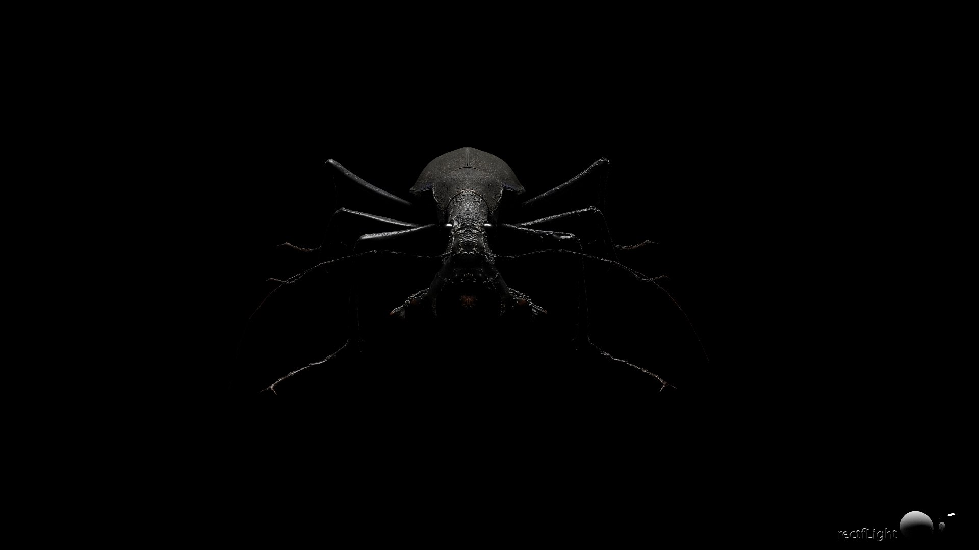 3D Ground Beetle https://p.turbosquid.com/ts-thumb/Aa/tJxmYV/k7/022/jpg/1747303517/1920x1080/fit_q87/e10f8531e8c57c4238e6b4caa311cc7657d490b1/022.jpg