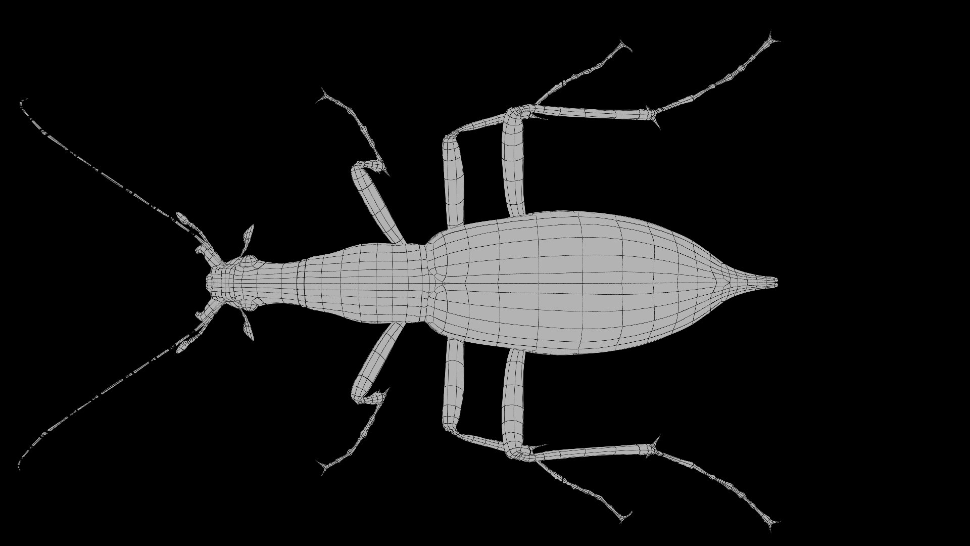 3D Ground Beetle https://p.turbosquid.com/ts-thumb/Aa/tJxmYV/oK/028/jpg/1747303519/1920x1080/fit_q87/a9fa9ea4c76e268d52d063c5096e115b5886b21e/028.jpg
