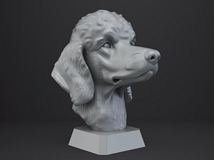 3D model Poodle Dog Bust