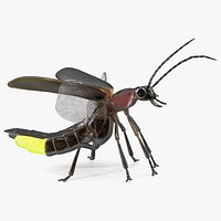 Big Dipper Firefly Glowing Rigged