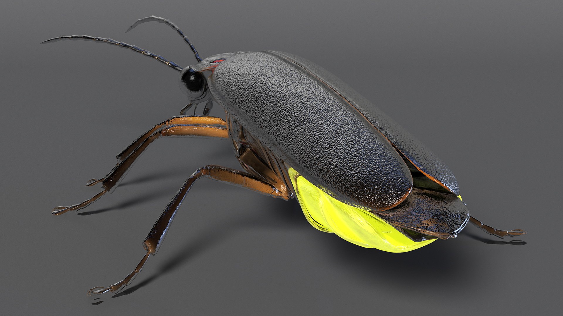 3D Big Dipper Firefly Glowing Rigged - TurboSquid 2174775