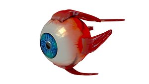 3D eye ball with muscles