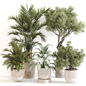 Indoor Plant Set 0123 3D model
