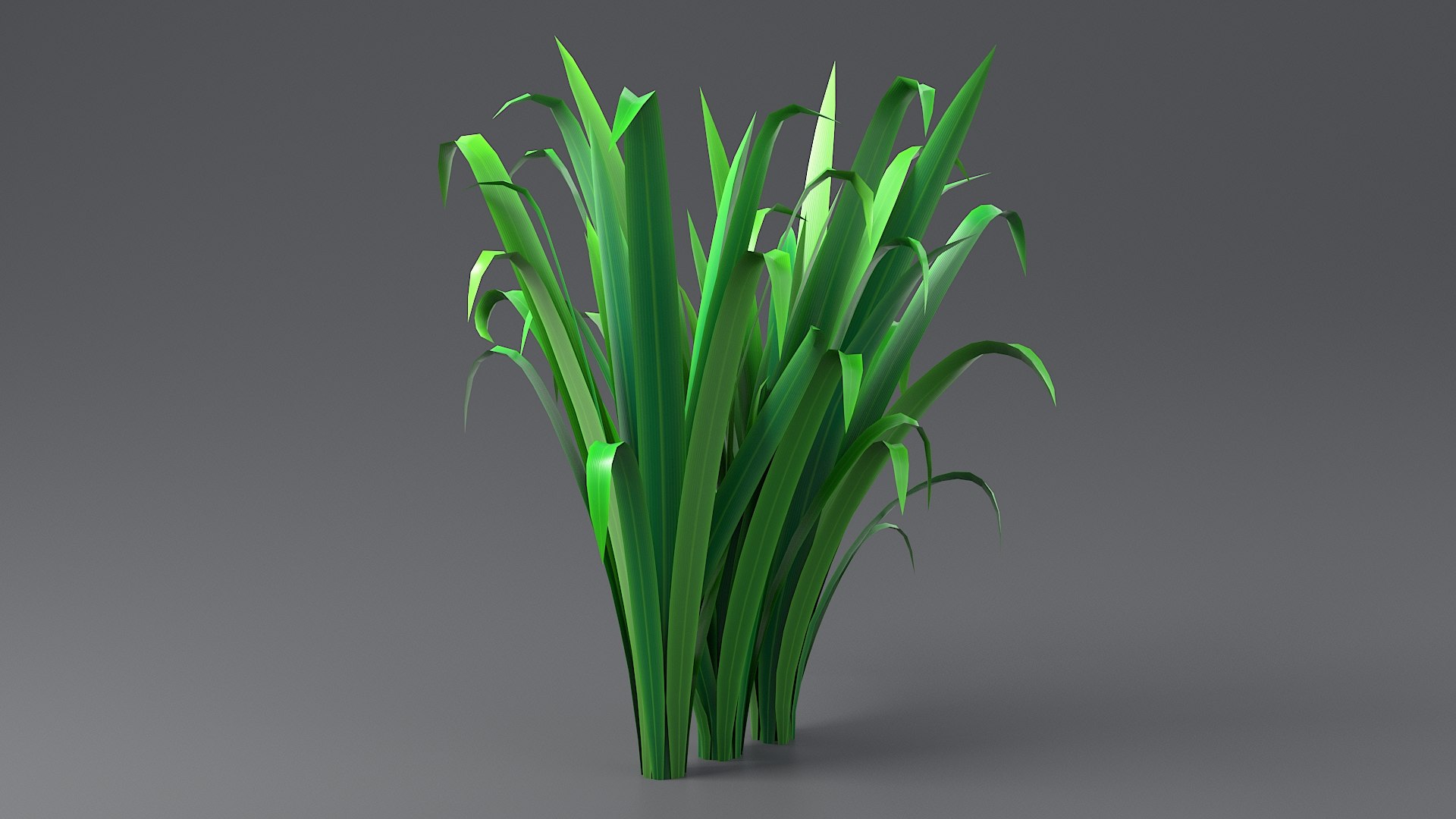 Cartoon Long Grass 11 3D model https://p.turbosquid.com/ts-thumb/Ab/6Pyuq2/3p/grass_long_0053/jpg/1679647233/1920x1080/fit_q87/abadcdd6312e95e3598700f8a8e88de0e9949ab6/grass_long_0053.jpg