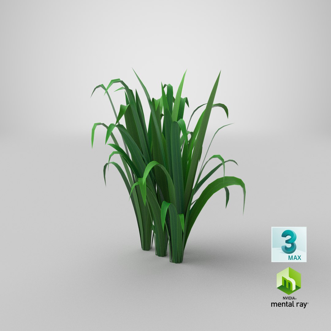 Cartoon Long Grass 11 3D model https://p.turbosquid.com/ts-thumb/Ab/6Pyuq2/QD/stemcell_max_mental_ray_render/png/1679651927/1920x1080/fit_q87/435e4f3474b8767c5f513191094f150c8240911f/stemcell_max_mental_ray_render.jpg