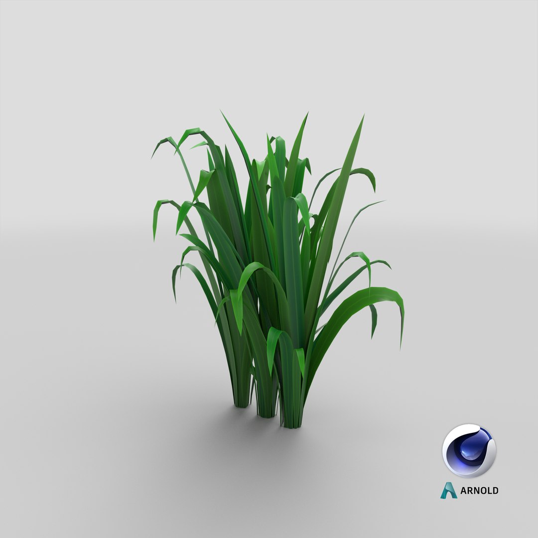 Cartoon Long Grass 11 3D model https://p.turbosquid.com/ts-thumb/Ab/6Pyuq2/dm/stemcell_cinema_4d_arnold_render/png/1679651934/1920x1080/fit_q87/24e8739a88ef5c02d82c52ee68aa920a7752fa8b/stemcell_cinema_4d_arnold_render.jpg