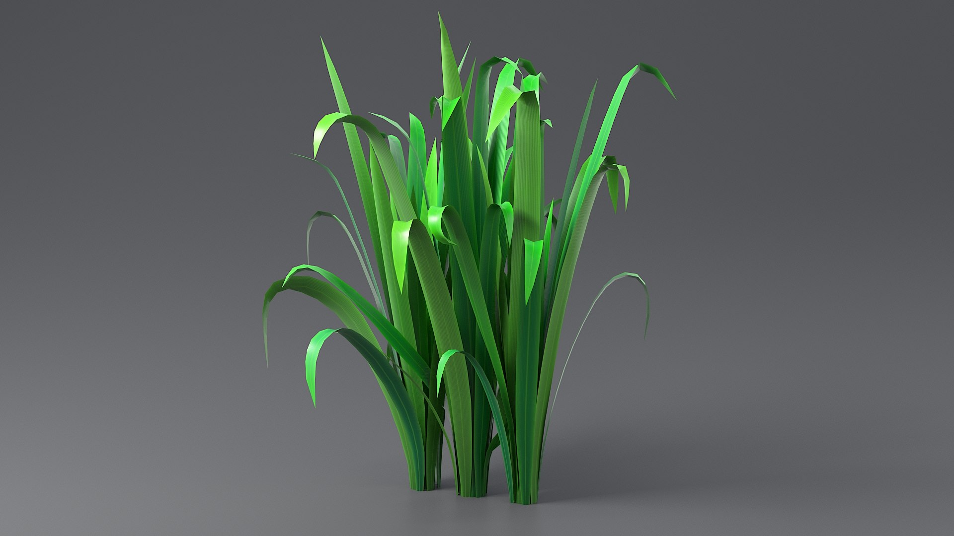 Cartoon Long Grass 11 3D model https://p.turbosquid.com/ts-thumb/Ab/6Pyuq2/ua/grass_long_0054/jpg/1679647234/1920x1080/fit_q87/adc50c4d9f823e9884ca28560cbd71c5b8f25070/grass_long_0054.jpg