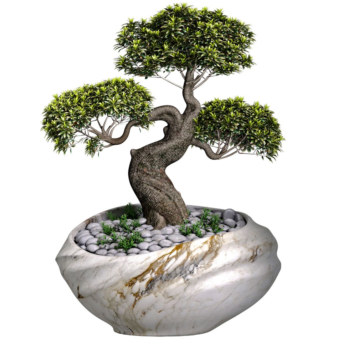 Decorative Bonsai Tree In Marble Flowerpot Vase Urn Pot 3D Model Model ...