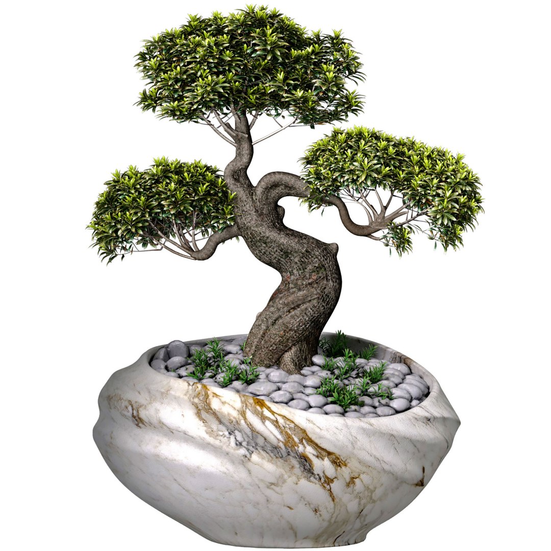 Decorative Bonsai Tree In Marble Flowerpot Vase Urn Pot 3D Model Model ...