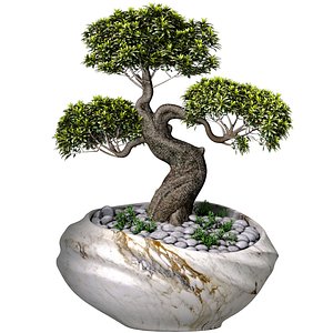 Decorative Bonsai Tree in Marble Flowerpot Vase Urn Pot 3D model model