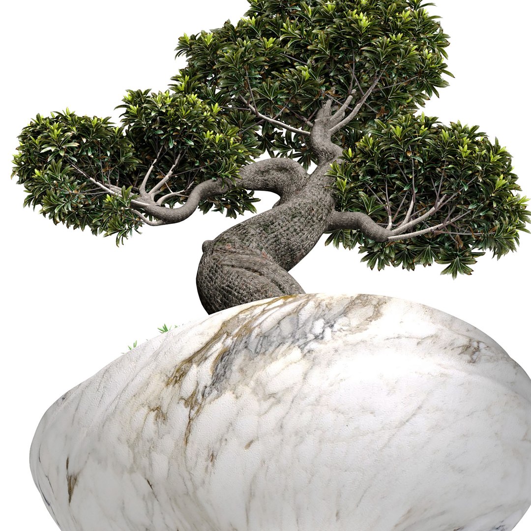 Decorative Bonsai Tree In Marble Flowerpot Vase Urn Pot 3D Model Model ...