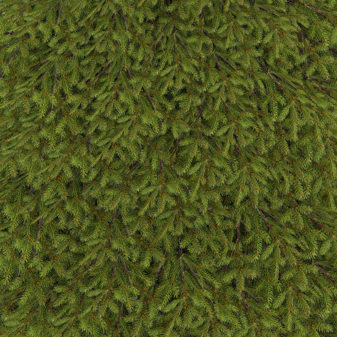 realistic fir tree 3d 3ds https://p.turbosquid.com/ts-thumb/Ab/CreTlP/faBJ3tCw/fir_tree_4_3/png/1412011995/1920x1080/fit_q87/7e49ac9ecbc7d483a9a4576fc88fb0515acd6d84/fir_tree_4_3.jpg