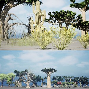 3D Collection of Desert Trees  Shrubs  Cacti