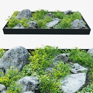 Plants in rocky base 3D model