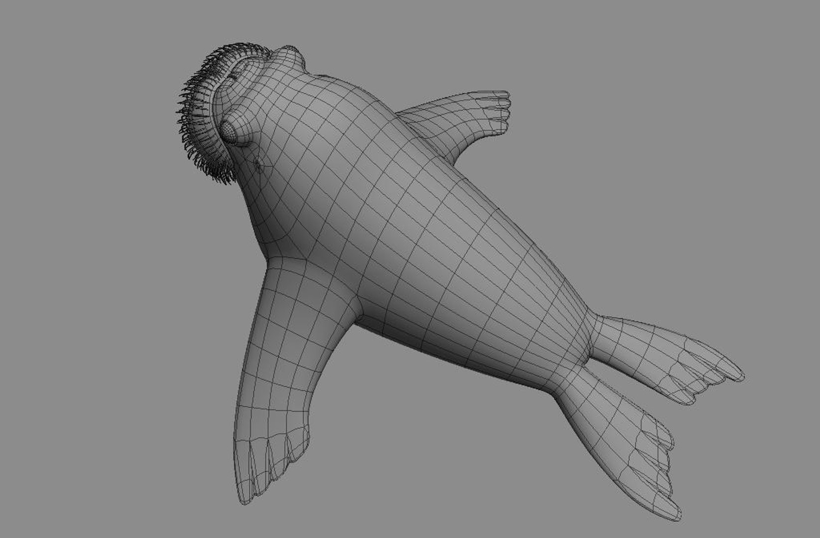 3d Model Walrus