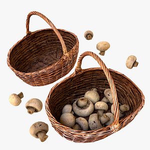 3D Basket with Mushrooms