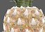 pineapple fruit