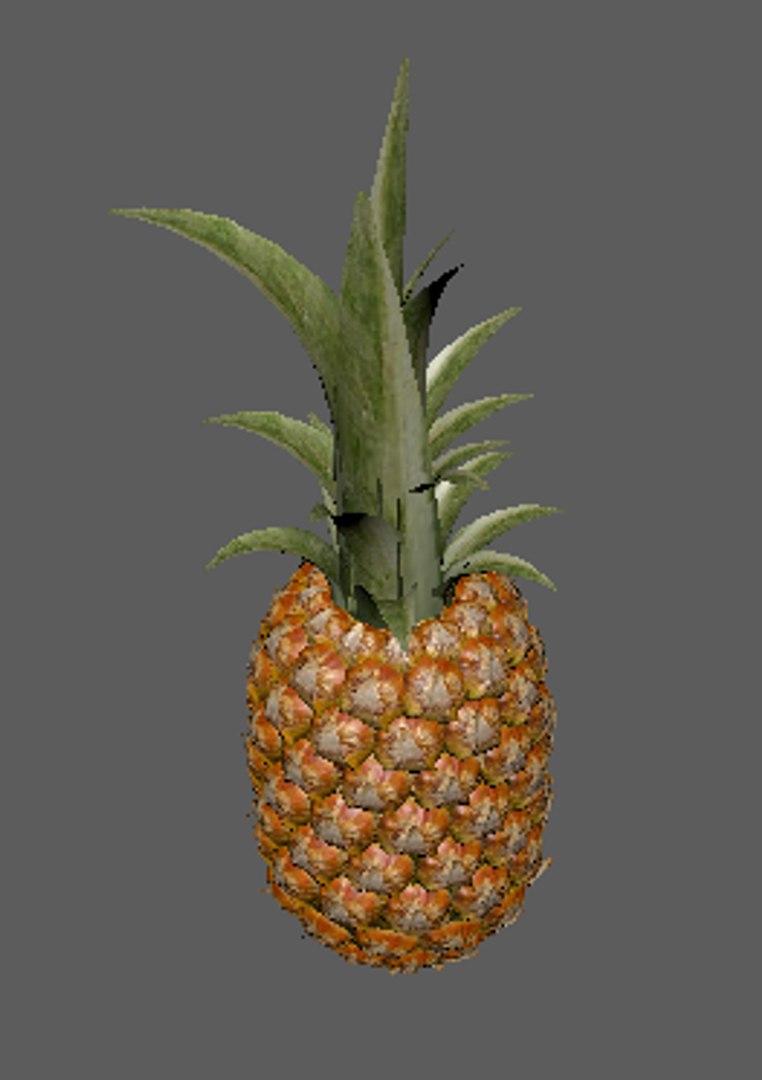 pineapple fruit 3D model https://p.turbosquid.com/ts-thumb/Ab/mmhuYI/MzRCBEFB/pine2/png/1576297283/1920x1080/fit_q87/ef888c0dfa2acd65a61897df5a975231824f1231/pine2.jpg