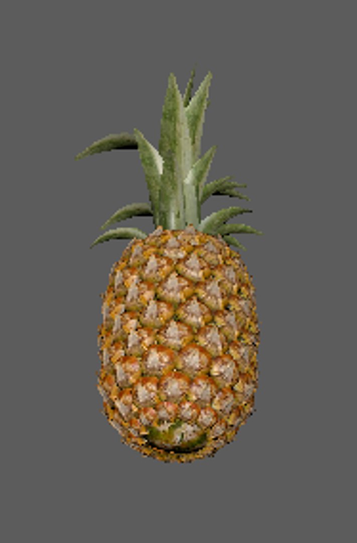 pineapple fruit 3D model https://p.turbosquid.com/ts-thumb/Ab/mmhuYI/YUxb9XOI/pine3/png/1576297336/1920x1080/fit_q87/727b7f4cacbe741dbeef17f35448982cdedcef69/pine3.jpg