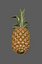 pineapple fruit