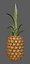 pineapple fruit