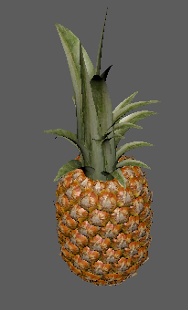 pineapple fruit 3D model https://p.turbosquid.com/ts-thumb/Ab/mmhuYI/r0Aq1EKY/pine4/png/1576297802/1920x1080/fit_q87/7f8e71500eb2eb6027f60edacc0dd7ea734642fc/pine4.jpg