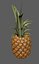 pineapple fruit