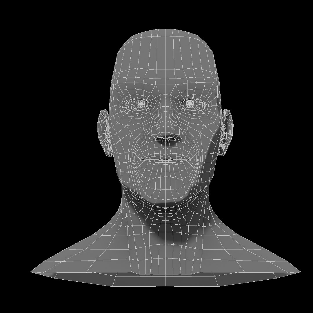 3D Base Human Head Model - TurboSquid 1303583