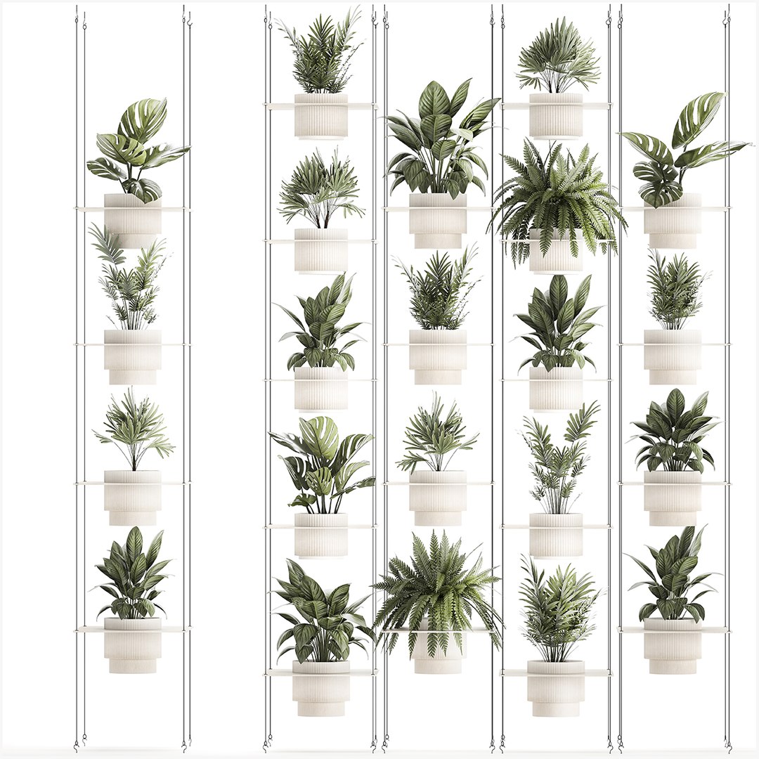 Hanging Shelf On Ropes Potted Plants Monstera Palm 1420 3D Model ...