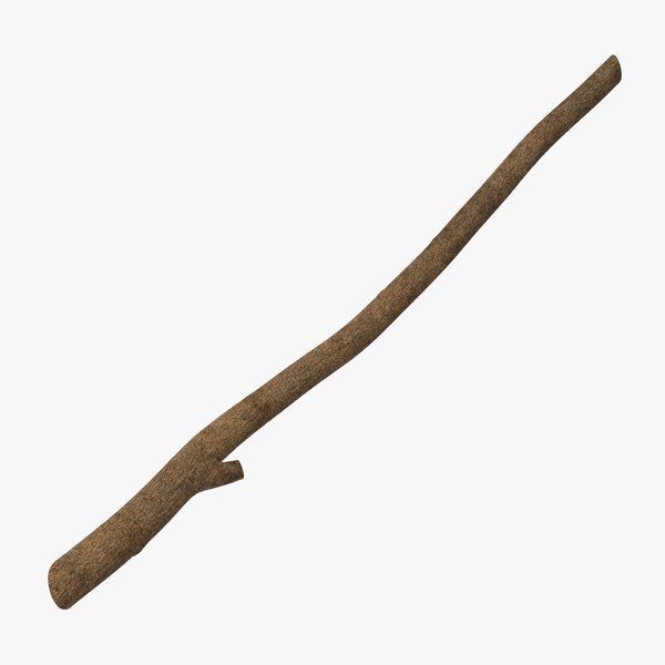 twig 02 3d max