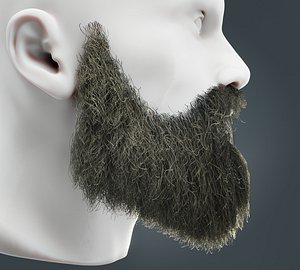 Beard RealTime 19 Version 2