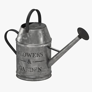 Vintage watering can