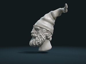 3D gnome head