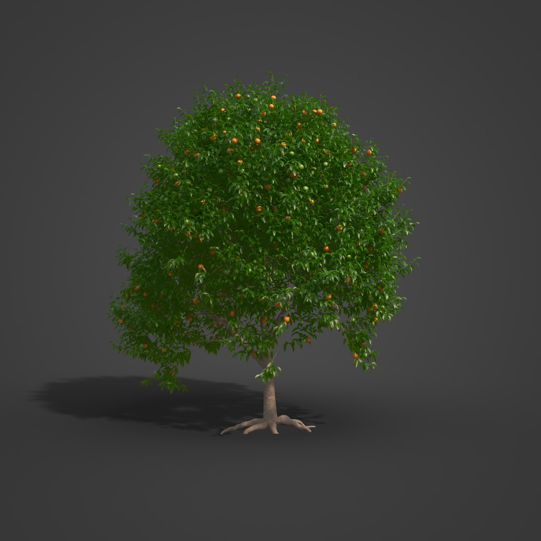 3D 2021 PBR Grapefruit Collection - Citrus Paradisi https://p.turbosquid.com/ts-thumb/Ac/Ce4Ugh/Bp/fr04.mview1/jpg/1631039814/1920x1080/fit_q87/9b093869592fe895864f66d21e9ddfaa9e03b8bc/fr04.mview1.jpg