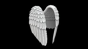 Angel Wings Folded Down 3D Model 3D model