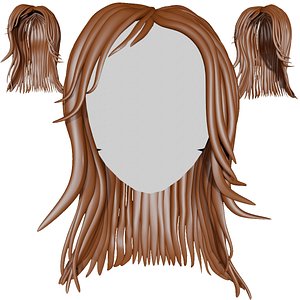 Hair wigs 3D