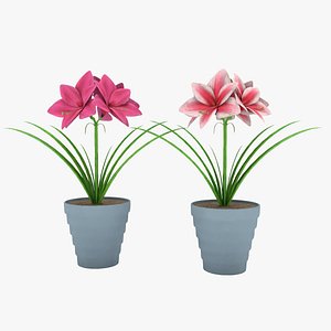 plant flowers 3D