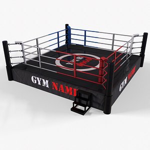 3D PBR Boxing Ring - Type B model