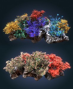 Coral reef ecosystem Animated Pack 2