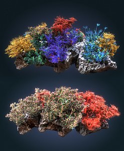 Coral reef ecosystem Animated Pack 2